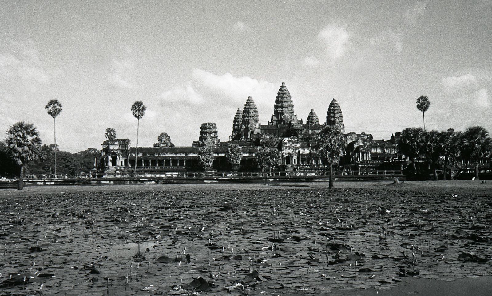 Temples of Angkor, Angor Wat, Cambodia